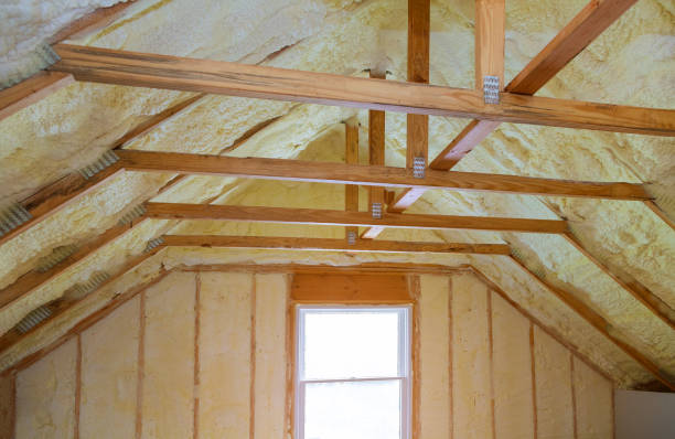 Best Soundproof Insulation Installation  in Walden, TN