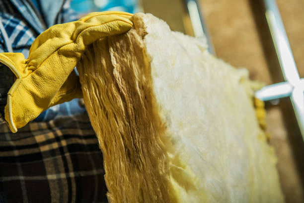 Best Residential Insulation Services  in Walden, TN