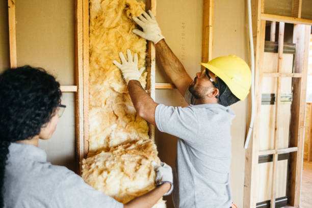 Best Spray Foam Insulation  in Walden, TN