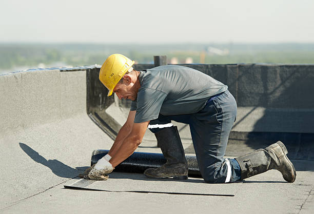 Best Affordable Insulation Services  in Walden, TN
